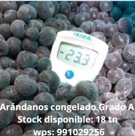 Arandano Ventura - SATHIRI ACARI SAC